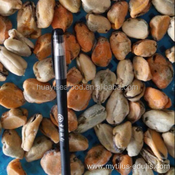 wholesale new arrival frozen boiled mussel meat